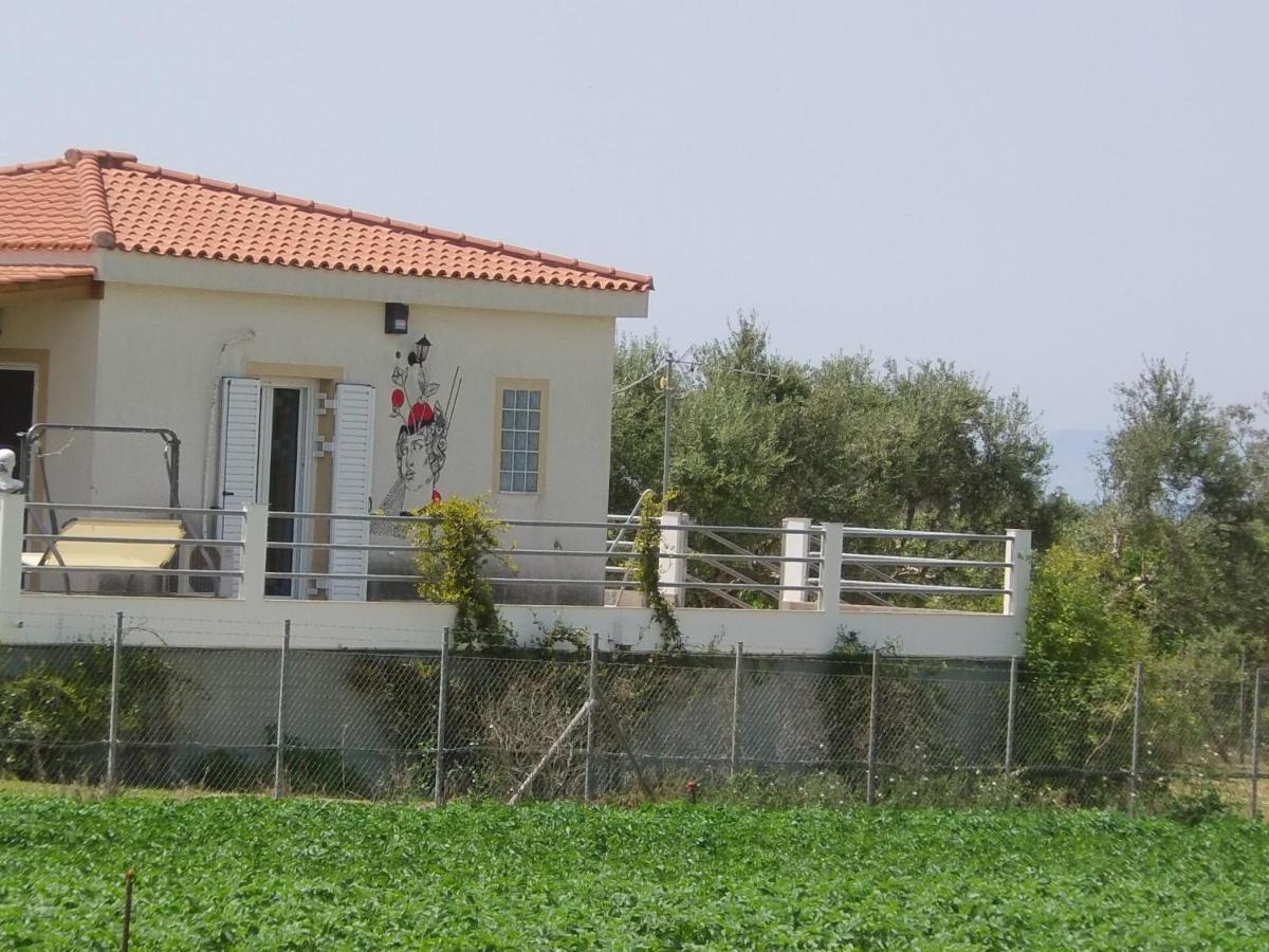 A Wonderful Relaxing Place. Nice View. Romantic Sunset Douneika  Exterior photo
